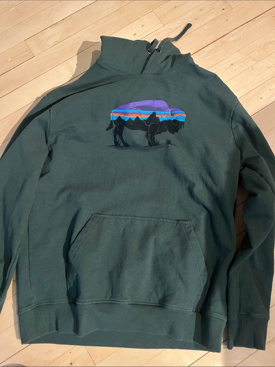 Patagonia Other - Patagonia Dark Green hoodie  Sweatshirt with Colorful Buffalo Graphic